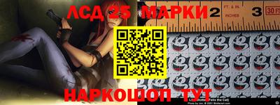 mdma Камышлов