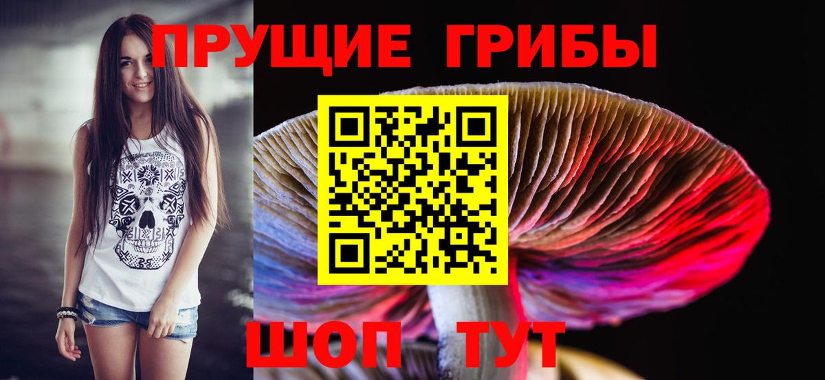 купить наркотики цена  Псилоцибиновые грибы прущие грибы  Вход с VPN  Кострома 